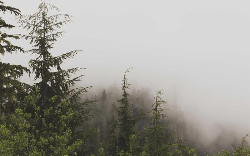 Autobahn Österreich